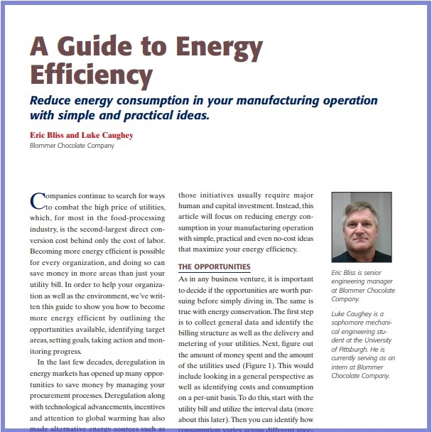2015- A Guide To Energy Efficiency- Paper