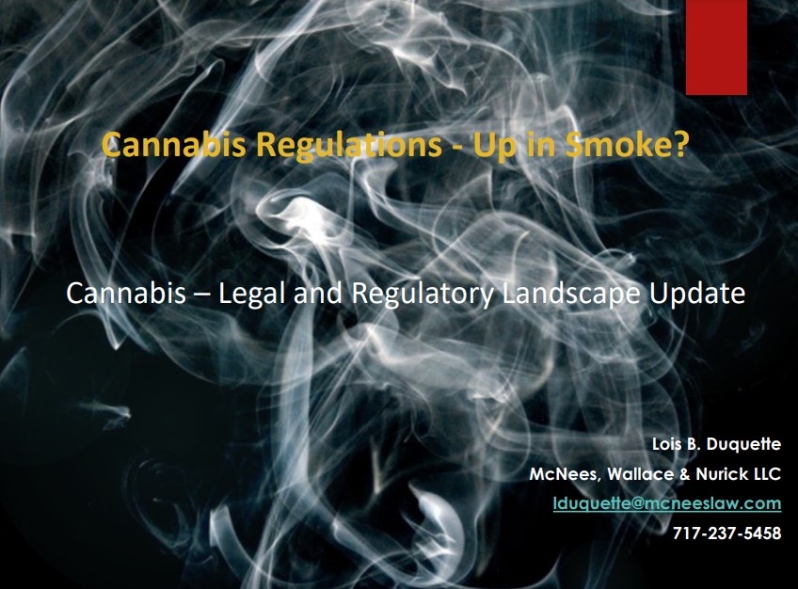 2019-Cannabis Regulations - Up In Smoke?-Slide