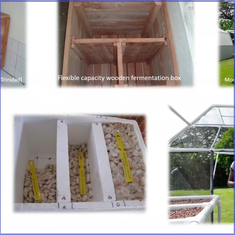 Product Description: Dr. Darin Sukha, The Cocoa Research Centre- The University Of The West Indies. Presented at the 2019 conference</br></br>The global market for cocoa has become more sophisticated and segmented. Growing consumer awareness and the more quality-centric mindset in the industry places even more demands at origin to deliver cocoa beans that meet higher quality standards. A situational analysis will be presented followed by the more holistic industry definition of cocoa quality. The responses from across the cocoa production belt in taking control of cocoa quality through the establishment of cocoa innovation centers and cocoa quality laboratories will follow. Their roles and functions across the cocoa value chain are discussed in the context of treating cocoa more as a food item, optimizing cocoa quality and in training and empowering stakeholders to unlock and harness the genetic flavor potential of their cacao varieties towards optimal quality, niche marketing and a more sustainable cocoa economy.</br> 2019- Taking Control Of Cocoa Quality-Video