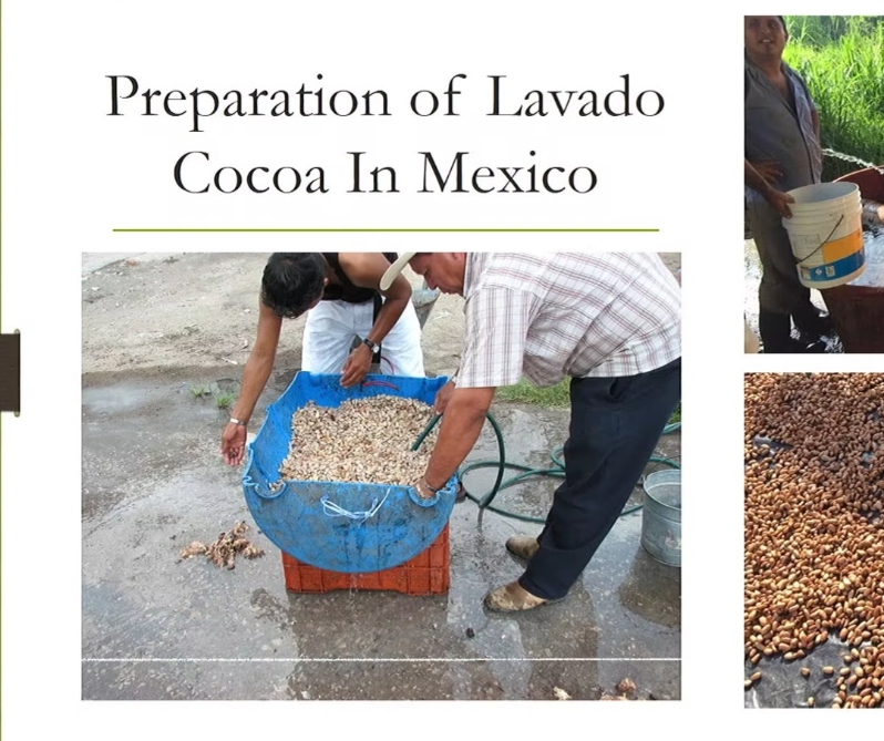 Product Description: Ray Major, RAMajor, LLC. Presented at the 2018 conference</br></br>This presentation will review the history and science of post-harvest processing, from its probable origin in northern South and Central America as a means to remove the cocoa pulp to its later application in the development of aromatic compounds and the precursors of chocolate flavor. The microbial sequences that occur in the pulp and the biochemical reactions they induce in the bean cotyledon are discussed, as well as the various post-harvest techniques used around the world. Factors influencing the quality of fermentation will be reviewed as well as techniques to optimize the process and to assess the final quality of fermented and dried cocoa.</br> 2018- Post-Harvest Processing-Video