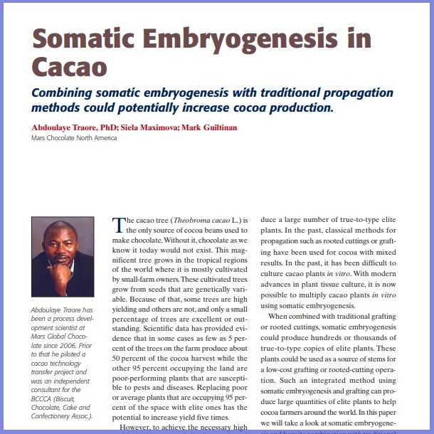 2011-Somatic Embryogenesis In Cacao