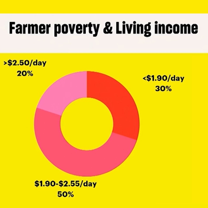 2022 -Cocoa Fruit: Business for Communities -Video