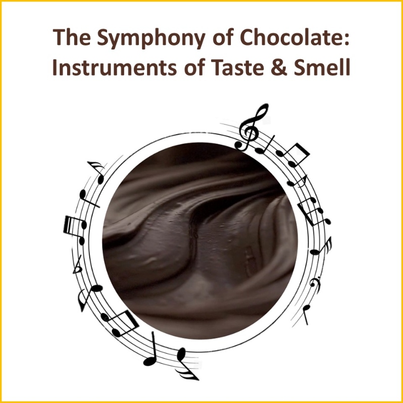 2024-Chocolate Symphony-Slides