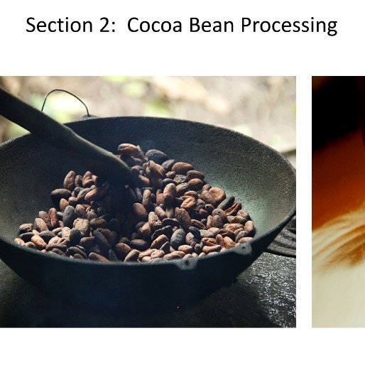 2019-Cocoa Bean Processing