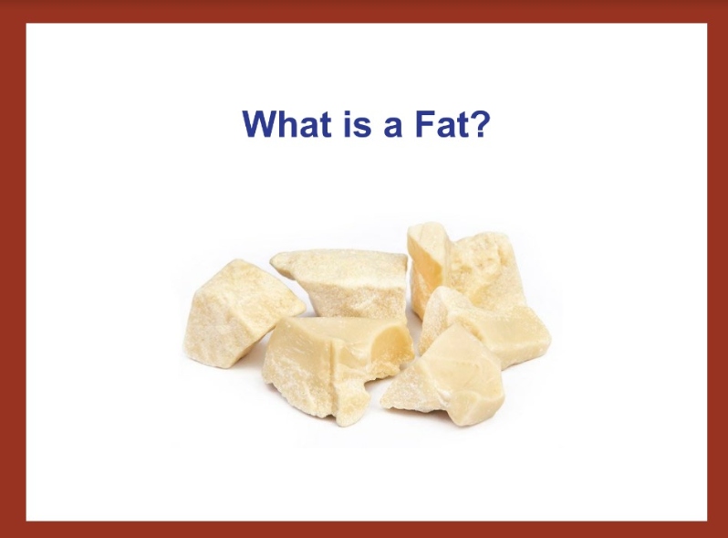 2019-What Is Fat